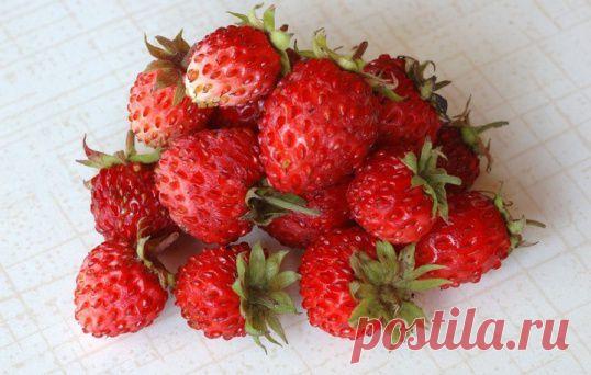 Как испечь летний пирог с клубникой :: пошаговое приготовление блюда, настоящий рецепт, фото :: Кулинарные рецепты :: KakProsto.ru: как просто сделать всё