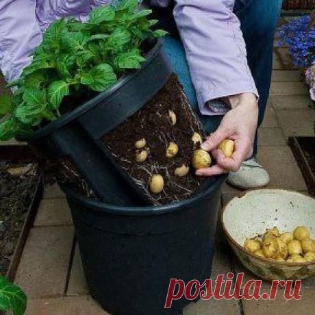 (57) Одноклассники