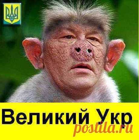 Подвох : Лавров и Тиллерсон договорились по Украине