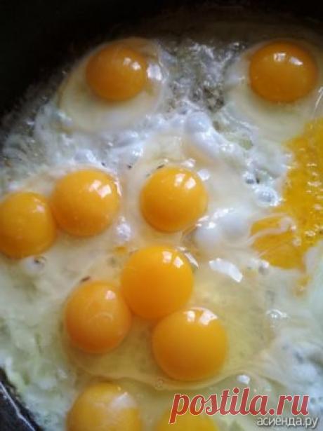 Почему куры перестали нестись, что я не так делаю? / Асиенда.ру