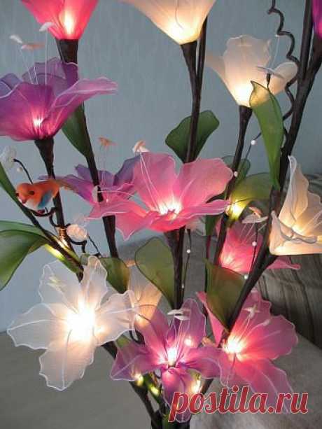 Сарочка Черныш
Израиль, Petah Tikva