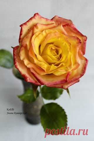 Школа лепки из полимерной японской глины claycraft by deco "7лепестков"