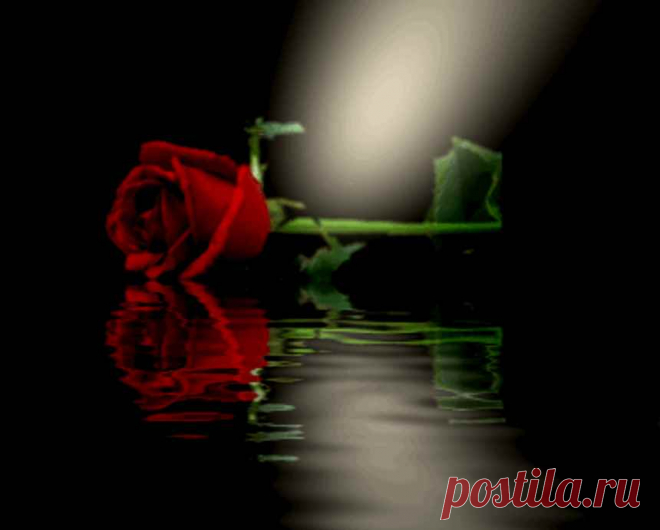 valentine graphic flower reflections - Google Search