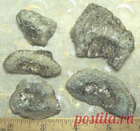 Dragon's Crystal Reverie - Unpolished Minerals A to C