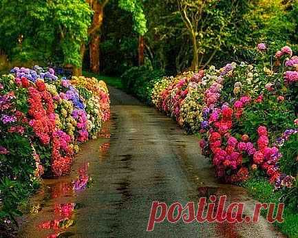 Йоркшир, Англия.