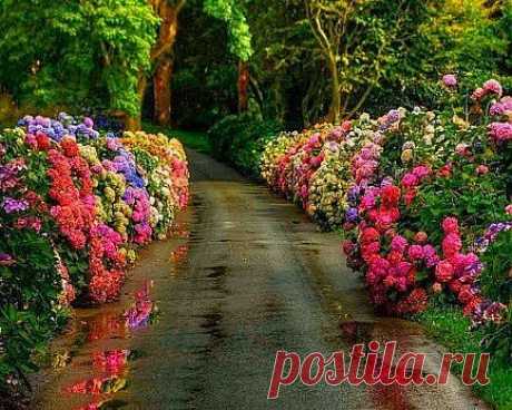 Йоркшир, Англия.