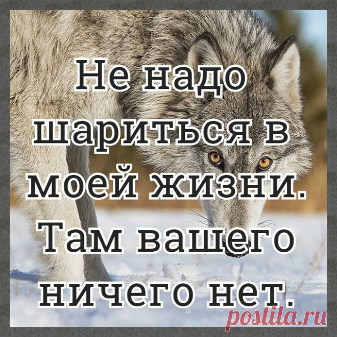 Лучшие статусы, цитаты и афоризмы — Разное | OK.RU