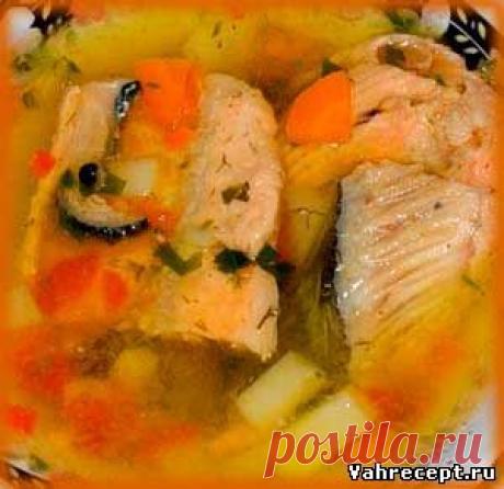 Уха - Рецепт приготовления с фото - Блюда из рыбы