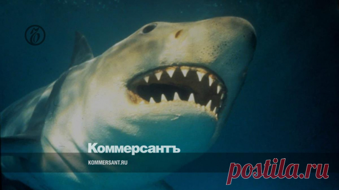 2021--Древним врагам человека грозит ВЫМИРАНИЕ ИЗ-ЗА ЧЕЛОВЕЧЕСКОГО МУСОРА.