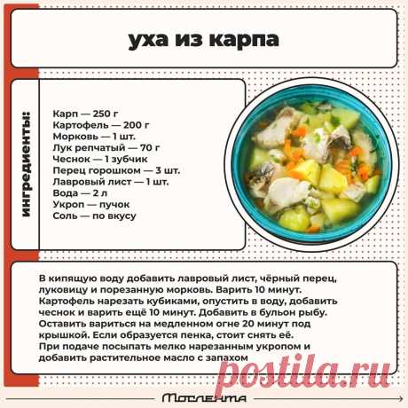 Уха из карпа