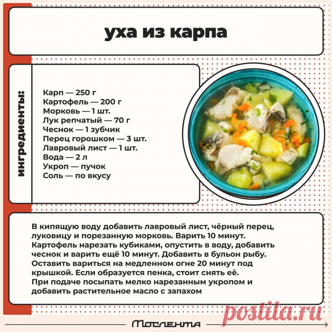 Уха из карпа