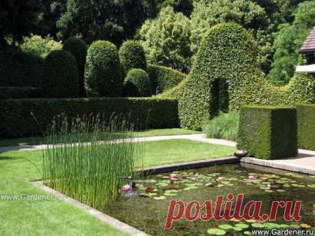 Сад Вилевал (Сад Иволги)