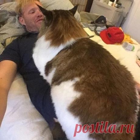 ПРОСЫПАЙСЯ! Я ПРОГОЛОДАЛСЯ