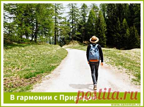 В гармонии с Природой Статья рассказывает, как связаны между собой человек и природа, почему необходимо поддерживать эту связь и соблюдать экологические законы. Даются советы, как достичь гармонии с природной средой, живя в городе.