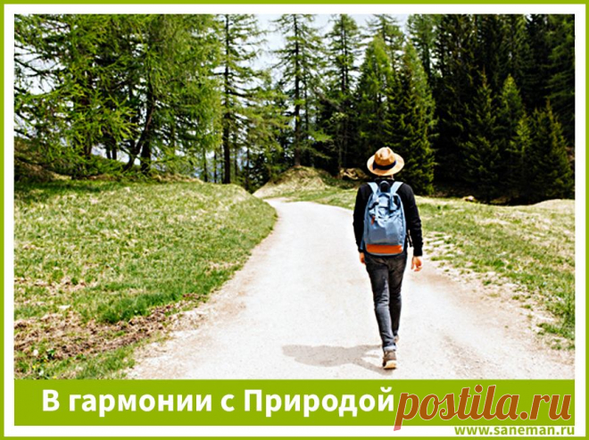 В гармонии с Природой Статья рассказывает, как связаны между собой человек и природа, почему необходимо поддерживать эту связь и соблюдать экологические законы. Даются советы, как достичь гармонии с природной средой, живя в городе.