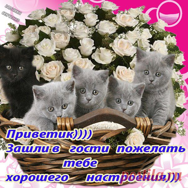 Хорошего настроения!!!