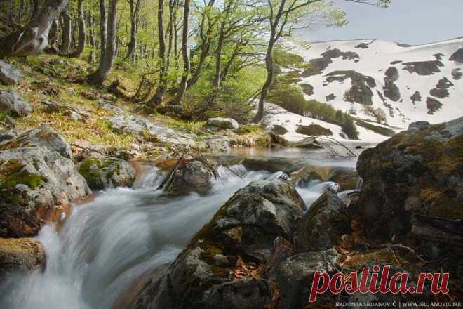 (2) Montenegro Outdoor Team