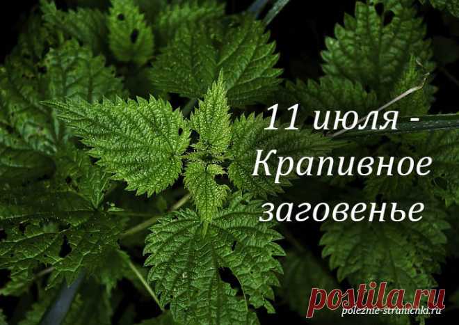 Народные приметы 11 июля в день Крапивного заговенья. Что не стоит делать 11 июля, а что надо сделать по народным поверьям и приметам