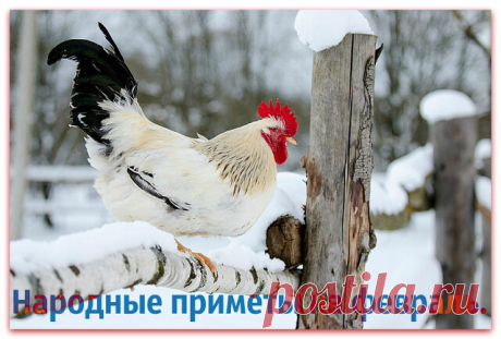 Как не навлечь беду в дом и не упустить удачу: народные приметы на февраль.

Благодаря народной мудрости каждый сможет провести последний месяц зимы удачно.

Благодаря приметам даже в современном мире удается предсказать, какой будет погода, что привлечет удачу, а что накликает беды. Благодаря народной мудрости каждый сможет провести последний месяц зимы удачно. Февраль не зря называют лютнем и бокогреем: в этом месяце чередуются оттепели и морозы. Со времен древности к 20...