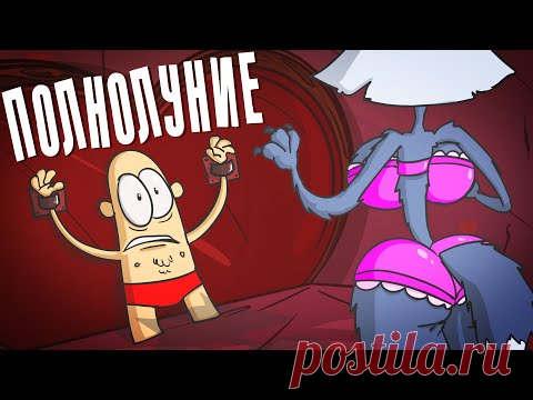 Спорт Отправляемся в полет за луной по заказу оборотня - свежие новости Украины и мира