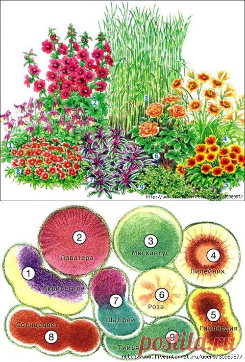 Идея для клумбы на солнцепеке — 6 соток