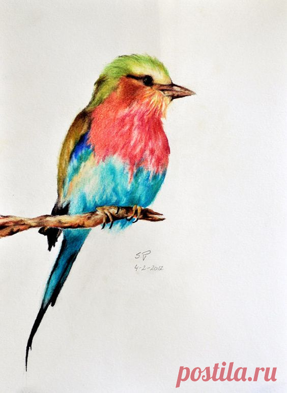 Pinterest: инструмент для поиска и хранения интересных идей