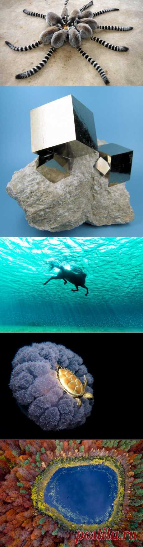 Фотографии, в которые трудно поверить