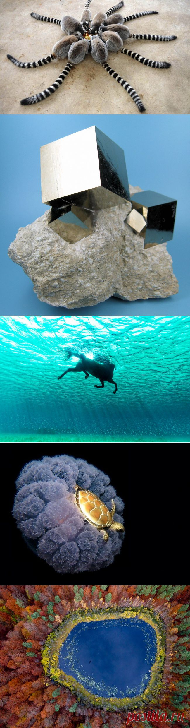 Фотографии, в которые трудно поверить