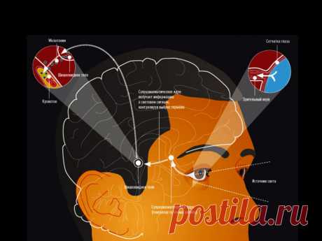 Гормон мелатонин: секрет молодости и красоты