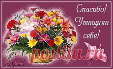 Обезьяна покупает сок в автомате!.
