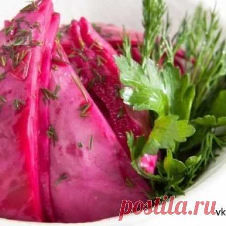 Рецепты приготовления капусты