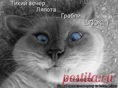 ь