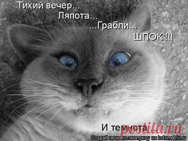 ь