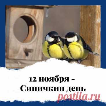 Синичкин день — праздник заботы, уюта и душевного тепла. Пусть даже в холодный ноябрь вы чувствуете ласковый свет добрых дел. А синицы пусть поют вам песню счастья!
Открытки на Синичкин день