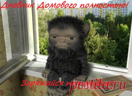 Дневник Домового ПОЛНОСТЬЮ! | KaifZona.Ru