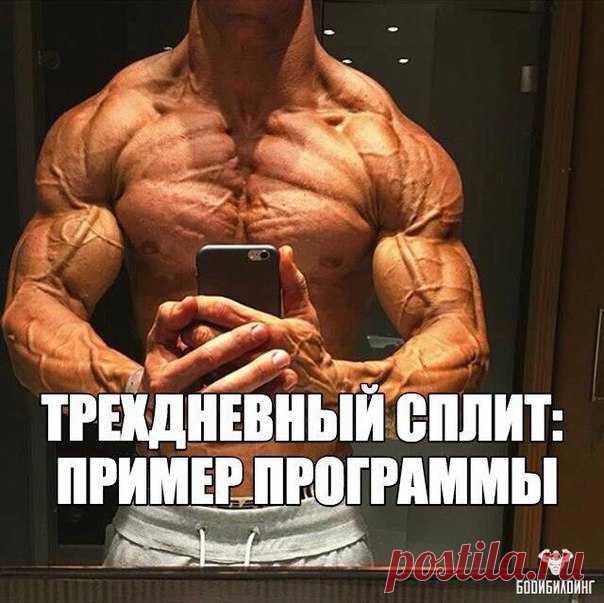ТРЕХДНЕВНЫЙ СПЛИТ: ПРИМЕР ПРОГРАММЫ

Предлагаемый комплекс включает две фазы. Первая фаза это три тренировки в неделю, либо понедельник-среда-пятница, либо вторник-четверг-суббота. Так тренировки необходимо продолжать 12 недель. После этого необходимо перейти ко второй фазе. Вторая фаза длится три недели, где основной упор делается на увеличение веса.

Итак, обратимся к первой фазе.

Понедельник.

Важно начать с приседаний. Первых два сета по 8 повторений, третий сет 20 по...