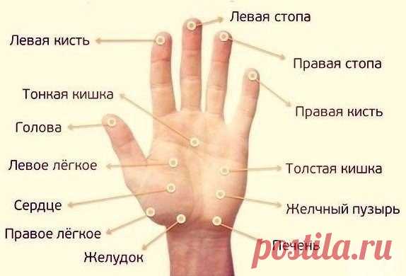 Точки здоровья на наших ладонях 

Нажимая на некоторые точки на наших ладонях, можно повлиять на разные органы