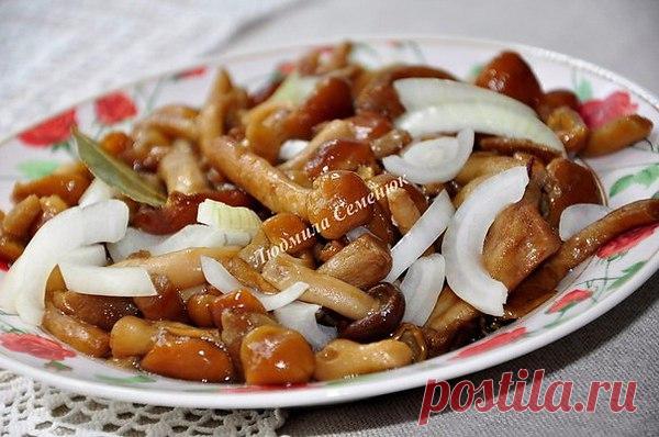 Интересные новости