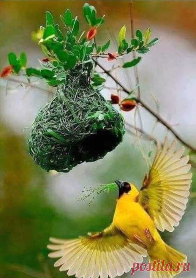 Happy Life