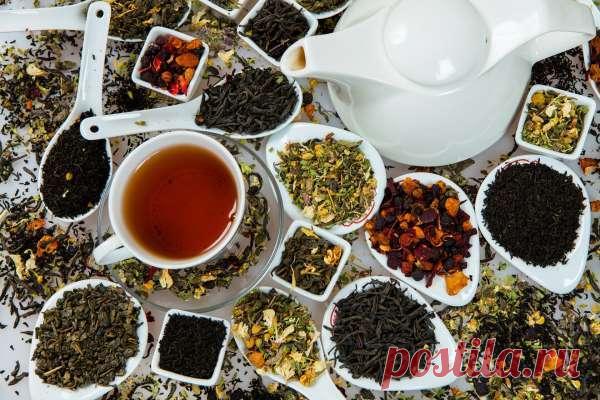 Сорта чая, которые помогают сжигать висцеральный жир — Домашние