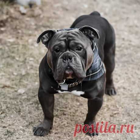 Pipe delay effect Credit: Armin Küpper - 9GAG