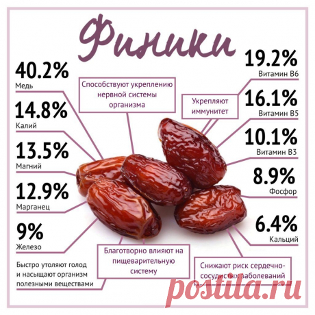 Финики - полезные свойства и пищевая ценность