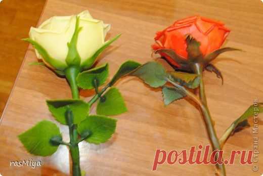 Мастер-класс по лепке розы. Часть 1 | Самоделкино