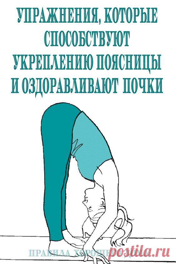 Три упражнения, которые способствуют укреплению поясницы и оздоравливают почки - Упражнения и похудение