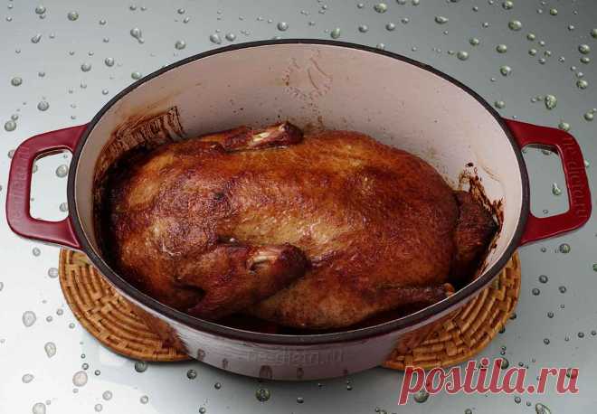 Утка с яблоками в духовке - пошаговый рецепт с фото | ne-dieta