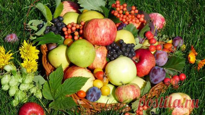 fruit-wallpaper-1366x768.jpg (1366×768)