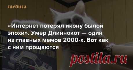 «Интернет потерял икону былой эпохи» Умер Длиннокот — один из главных мемов 2000-х. Вот как с ним прощаются — Meduza 2020 год беспощаден: 20 сентября в возрасте 18 лет от почечной недостаточности умер Длиннокот, он же Longcat — один из известнейших и популярнейших котов в интернете.