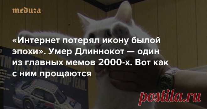 «Интернет потерял икону былой эпохи» Умер Длиннокот — один из главных мемов 2000-х. Вот как с ним прощаются — Meduza 2020 год беспощаден: 20 сентября в возрасте 18 лет от почечной недостаточности умер Длиннокот, он же Longcat — один из известнейших и популярнейших котов в интернете.