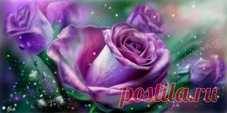 (1) Одноклассники