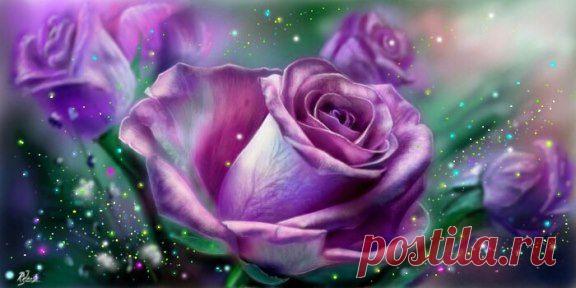 (1) Одноклассники